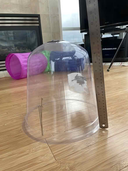 Photo of free Plastic garden cloche (Vancouver, Yaletown) #3