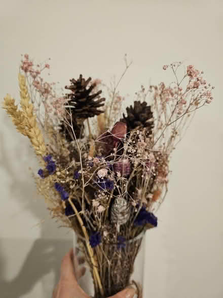 Photo of free Dry flowers (W5) #1