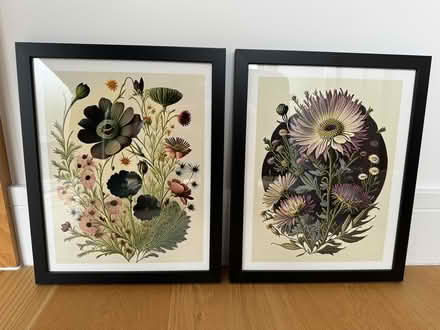 Photo of free Botanical Prints (Colwall Stone WR13) #2
