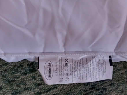 Photo of free Double Quilt (Ballumbie DD4) #1