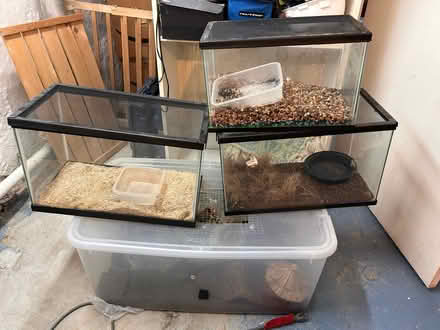 Photo of free Aquariums (Takoma Park 20912) #3