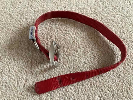 Photo of free Red Ancol dog collar (Malvern Link WR14) #1