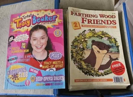 Photo of free Animals of farthing wood comics (Holywell CH8) #1