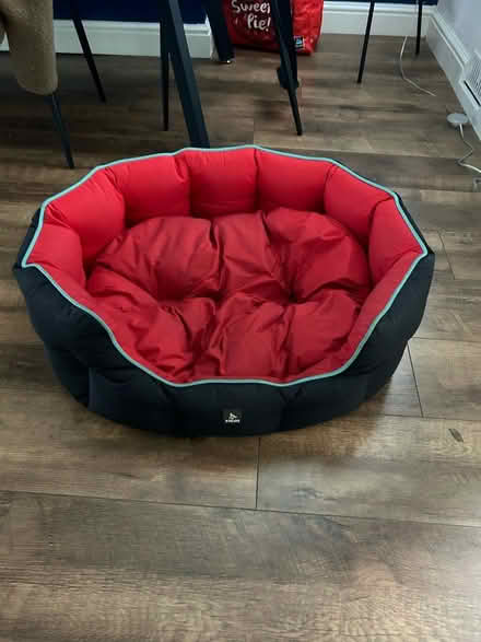 Photo of free Three peaks medium dog bed (L15) #2