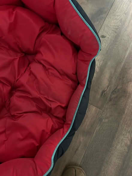 Photo of free Three peaks medium dog bed (L15) #1
