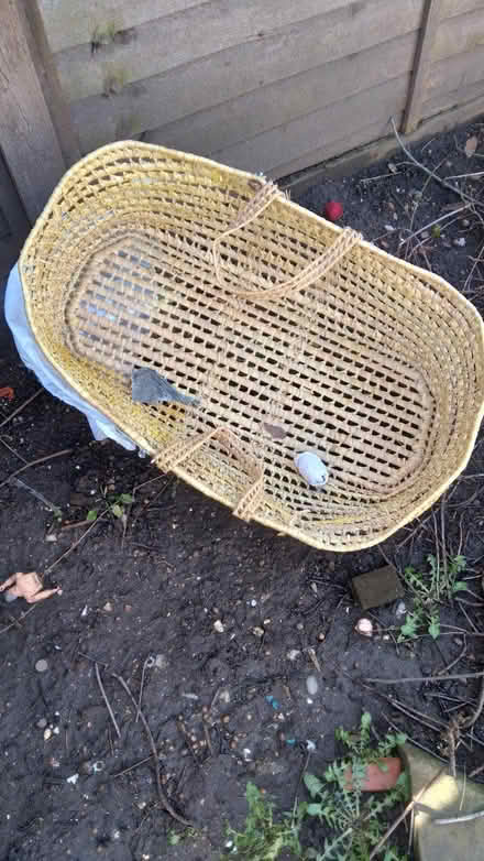 Photo of free Moses Basket (East Croydon CR0) #2