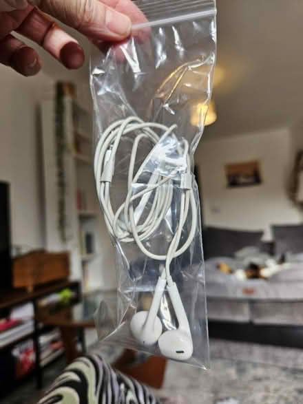 Photo of free Apple earphones - old style jack (E5) #1