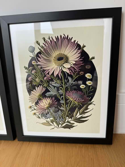 Photo of free Botanical Prints (Colwall Stone WR13) #1