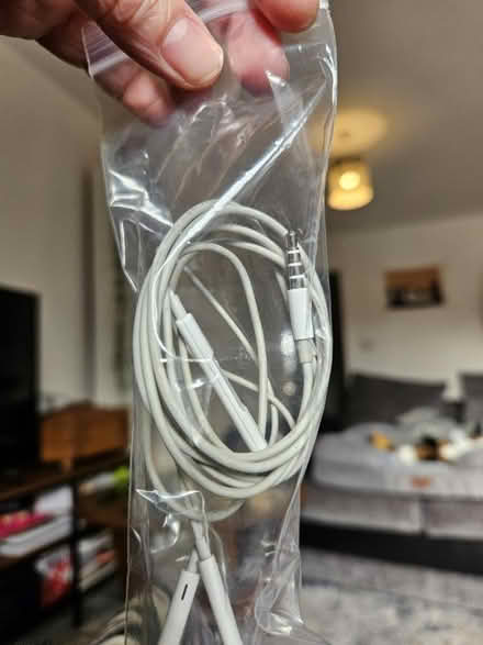 Photo of free Apple earphones - old style jack (E5) #2