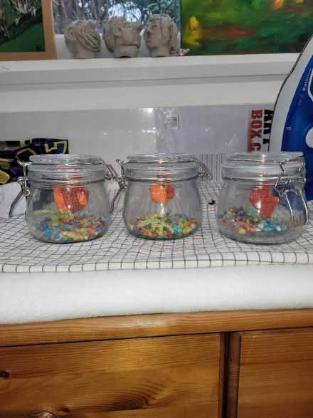 Photo of free Desk pet no feeding required Not a toy (Bowerham LA1) #1