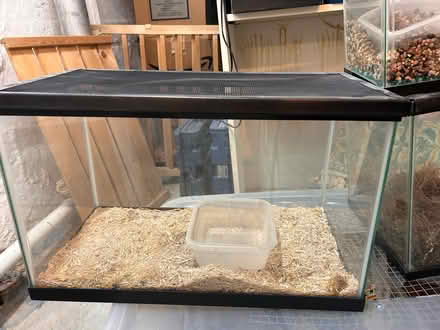 Photo of free Aquariums (Takoma Park 20912) #1