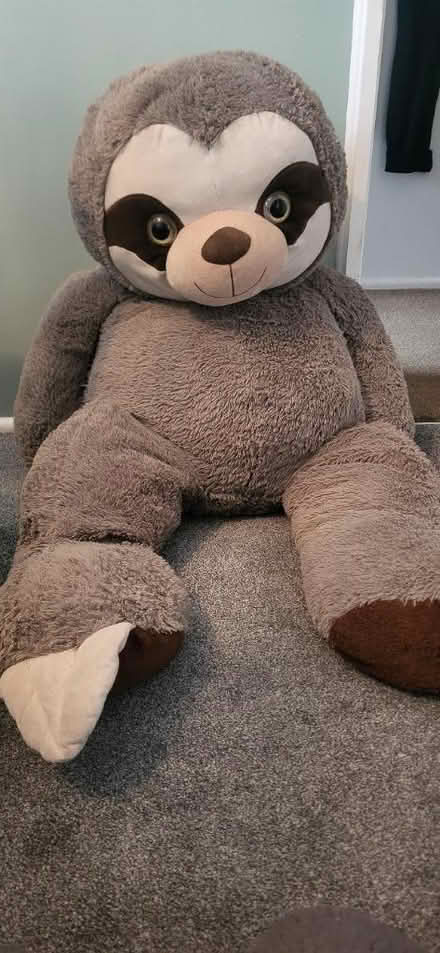 Photo of free Teddy (Horsham) #1