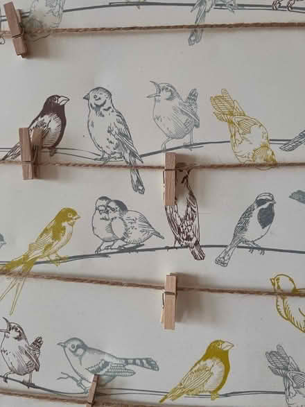 Photo of free Photo canvas / peg board (G42) #2