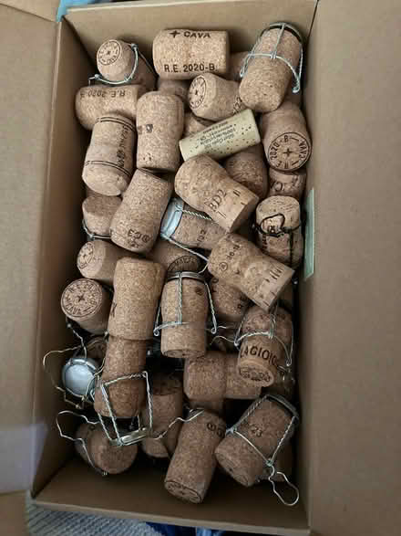 Photo of free Corks - a shoebox full (E8) #1