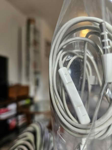 Photo of free Apple earphones - old style jack (E5) #3