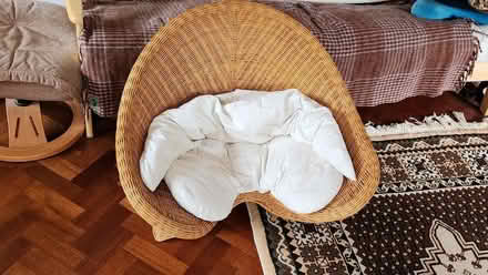 Photo of free Yoga chair (Ridgeway Dr & Ridgeway Rd) #1
