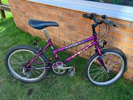 Photo of free Girls Apollo Bike 20 inch (Dinnington) #1