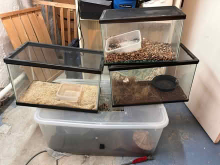 Photo of free Aquariums (Takoma Park 20912) #4