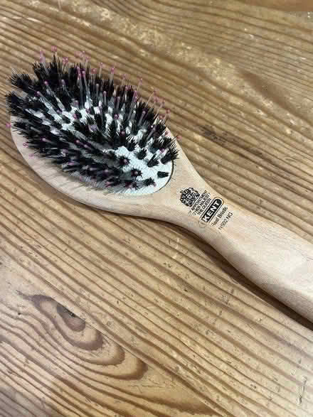 Photo of free Hairbrush, maybe good for pets (Isle of Dogs, E14) #2