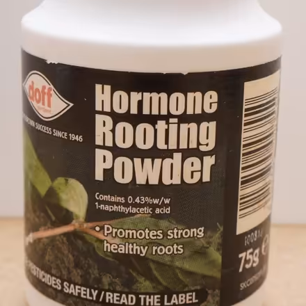 Photo of free Hormone rooting powder, for plant cuttings (Levenshulme M12) #1