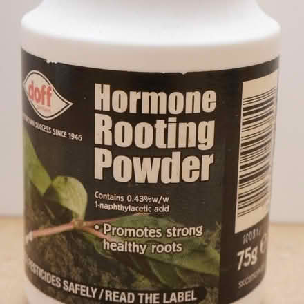 Photo of free Hormone rooting powder, for plant cuttings (Levenshulme M12) #1