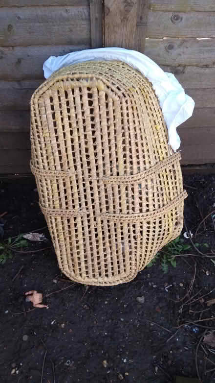 Photo of free Moses Basket (East Croydon CR0) #1