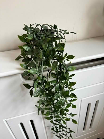 Photo of free 3x hanging plant (plastic!) (LS7 Chapel Allerton) #1
