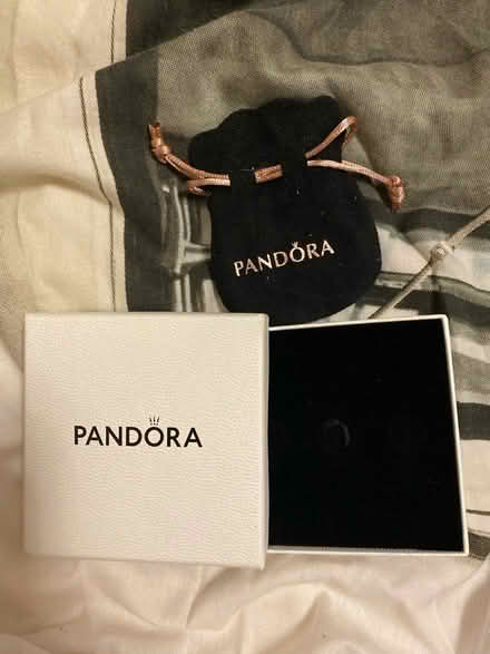 Photo of free Empty Pandora packaging (Kidderminster DY10) #1