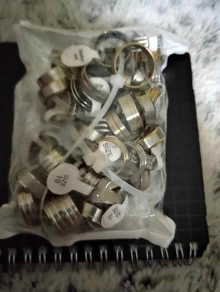 Photo of free Bag of stainlessness steel rings (Ringoes) #1