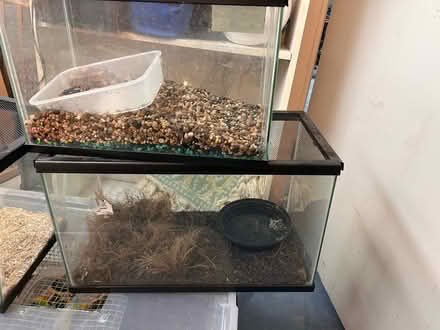 Photo of free Aquariums (Takoma Park 20912) #2