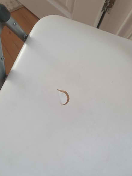 Photo of free Fold up chair (Walthamstow) #4