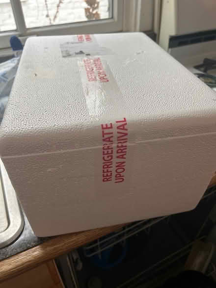 Photo of free Cold packs, cooler (20009 Adams Morgan) #3