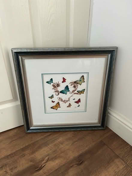 Photo of free Butterfly picture (L15) #1
