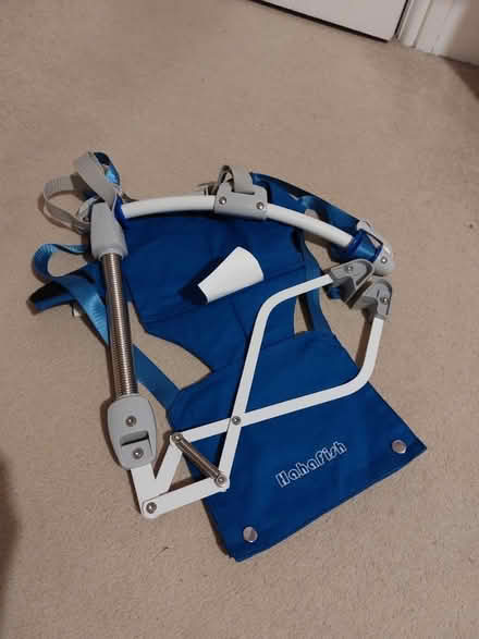 Photo of free Baby door bouncer (Heeley green S2) #1