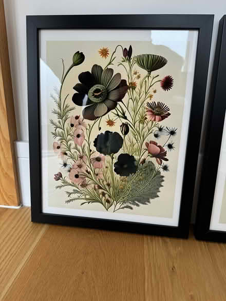 Photo of free Botanical Prints (Colwall Stone WR13) #3