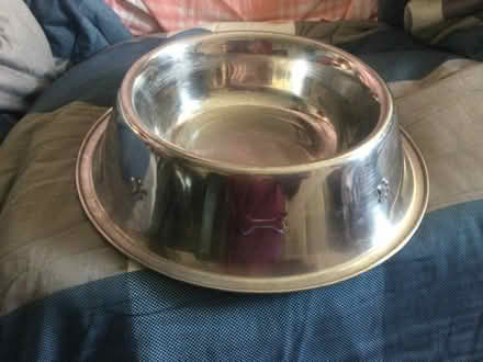 Photo of free Dog Bowl (GU14) #1