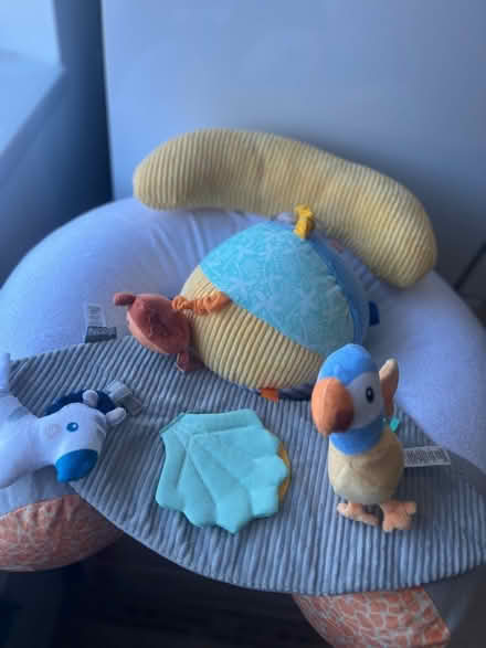 Photo of free Nuby babysitting doughnut and ball (Norris green L11) #2
