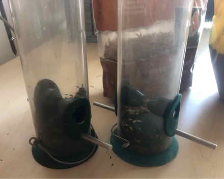 Photo of free 2x Bird Feeders, with Food (Chesham) #2