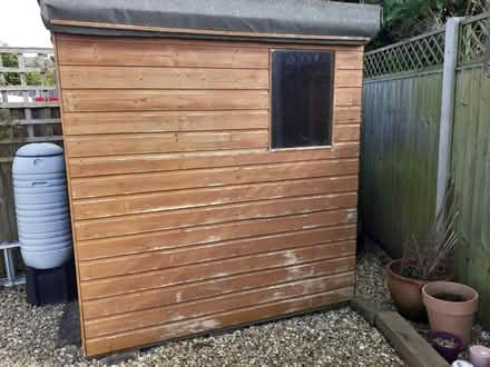 Photo of free Small Garden Shed (TA11) #2