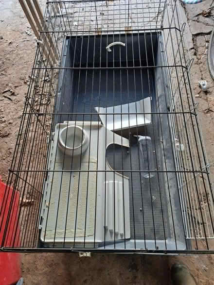 Photo of free Indoor rabbit/guinea pig cage (Heavitree) #3