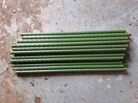 Photo of free Green cane supports (Biddestone SN14) #3