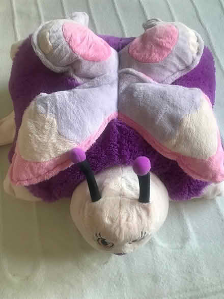 Photo of free Purple butterfly cushion (Wells BA5) #2