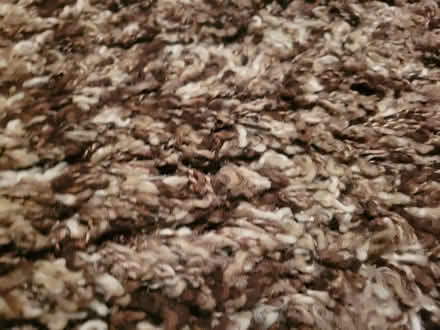 Photo of free Area Carpet - Driftwood (Near Mary Honeywell School) #3