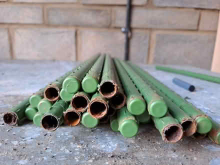 Photo of free Green cane supports (Biddestone SN14) #4