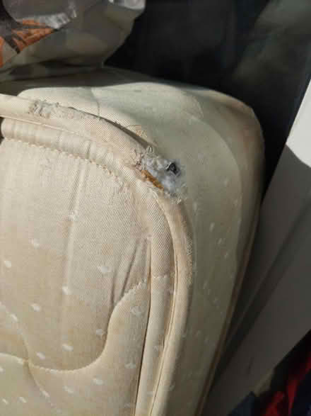 Photo of free Double mattress (Headington OX3) #3