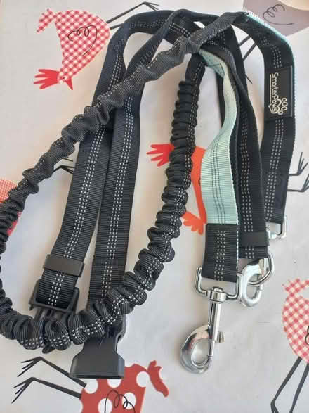 Photo of free Dog lead/ belt for running (Crow Hills MK41) #1