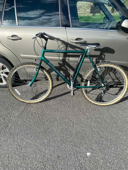 Photo of free Mens large Raleigh bike (Waterlooville) #1