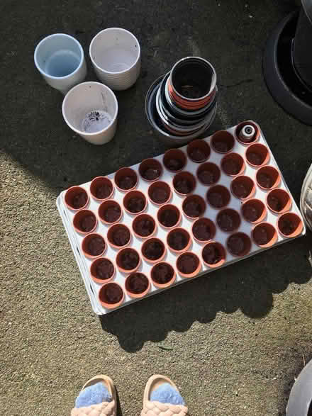Photo of free Gardening bits & bobs (Bethesda LL57) #1