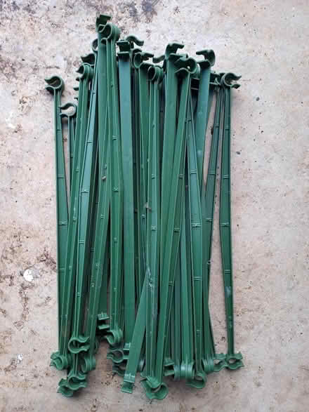 Photo of free Green cane supports (Biddestone SN14) #1
