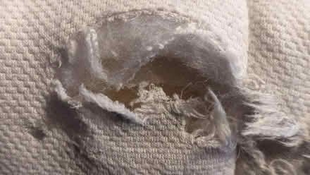 Photo of free Single mattress (Cherry Hinton Ward CB1) #1